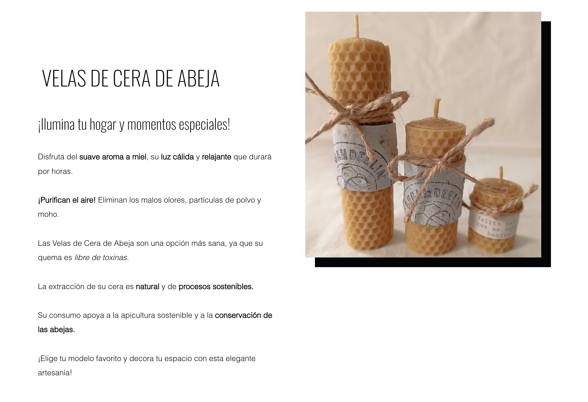 Descripción de producto para Ecommerce. Copywriting